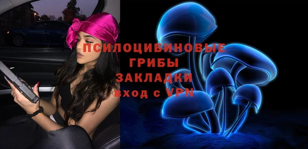 гидропоника Алексеевка