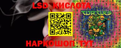 винт Новозыбков