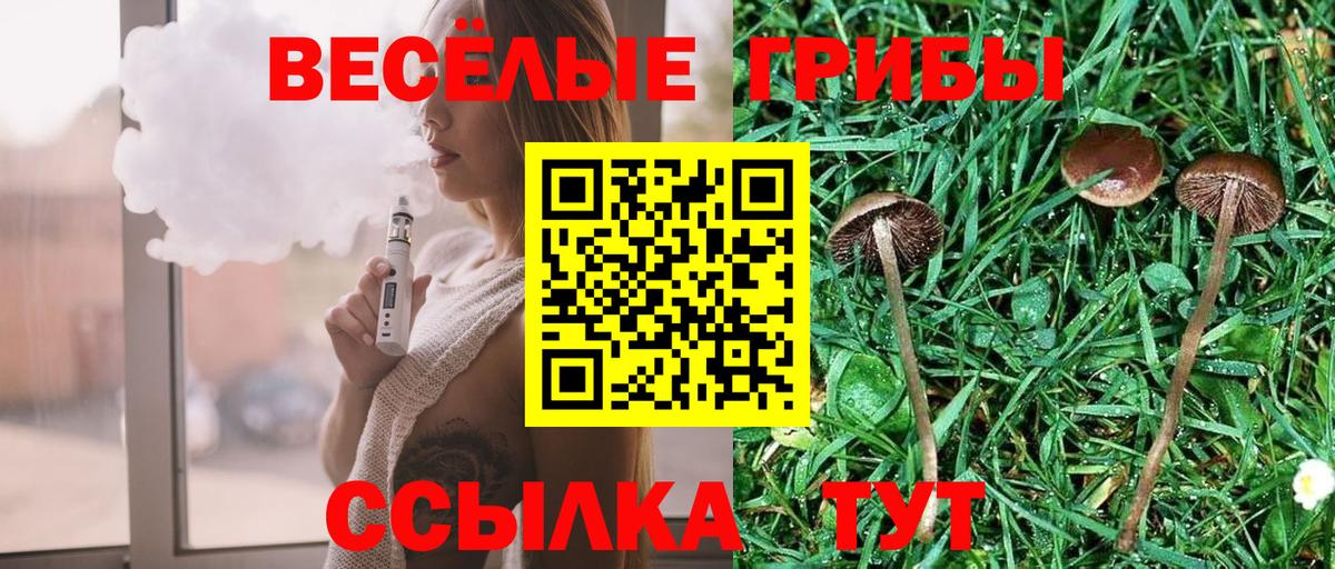 Псилоцибиновые грибы MAGIC MUSHROOMS Ярцево