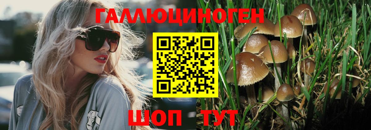 где купить наркоту  Псилоцибиновые грибы прущие грибы  Вход с VPN  Ярцево 